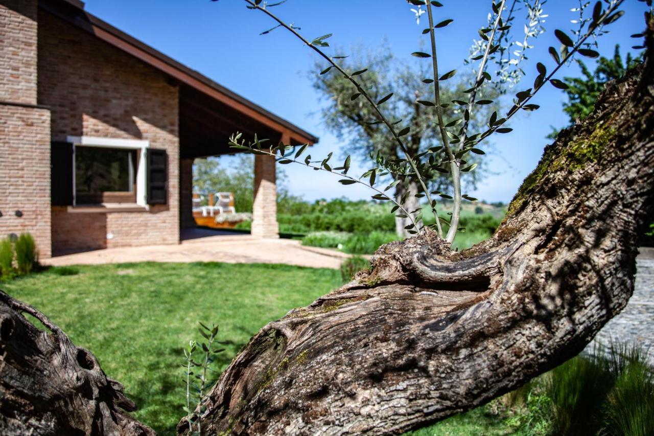 Resort Villa Paola Longiano Экстерьер фото